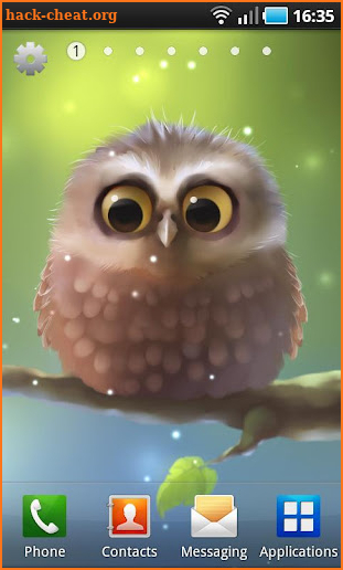 Little Owl screenshot