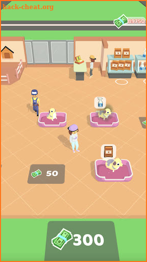 Little Pet Store screenshot