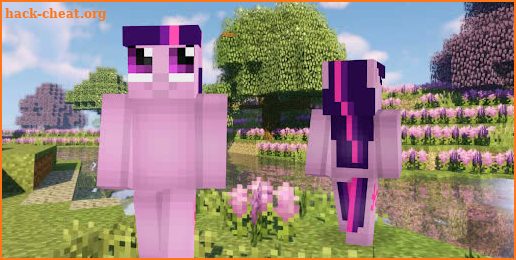 Little Pony Skin for Minecraft screenshot
