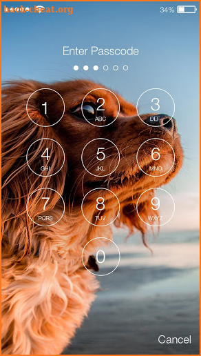 Little Puppy Dog Lock Security Password AppLock screenshot