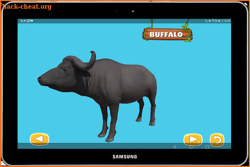 Live Animals 360 screenshot