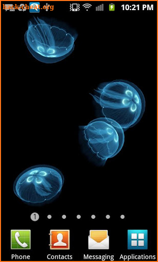 Live Jellyfish screenshot