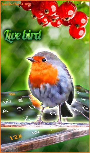 Live Lovely Bird Keyboard Theme screenshot