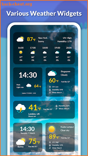 Live weather: Forecast, widget screenshot