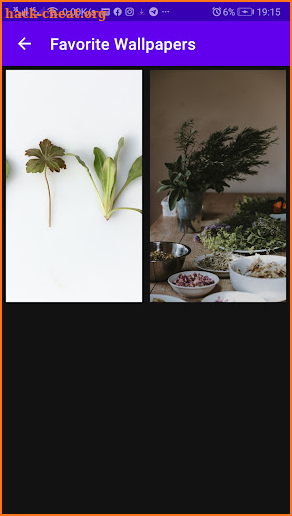 Local Herbs screenshot