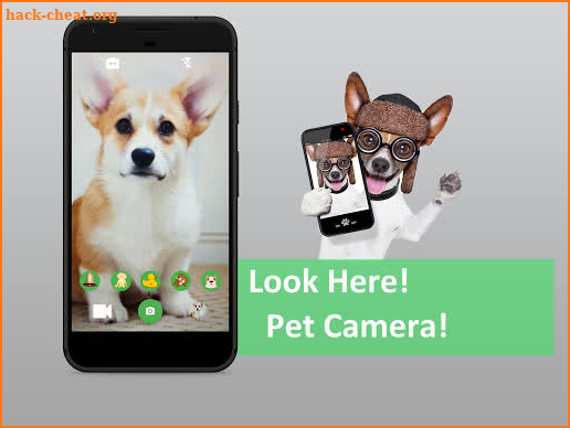 Look Here - Pet Camera screenshot