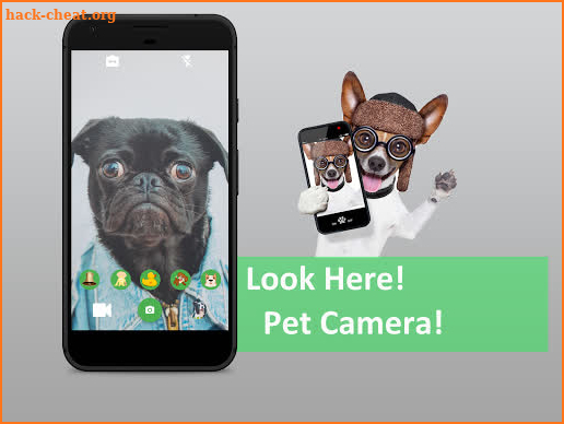 Look Here - Pet Camera screenshot