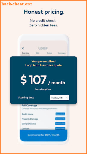 Loop Insurance screenshot