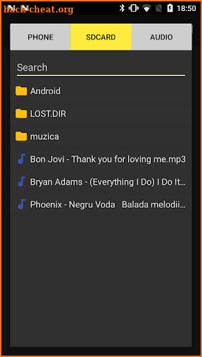 Loop Player - A B Audio Repeat Player screenshot