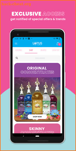 Lotus Energy screenshot