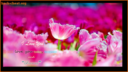 Love and Romance Quotes & Wishes Messages screenshot