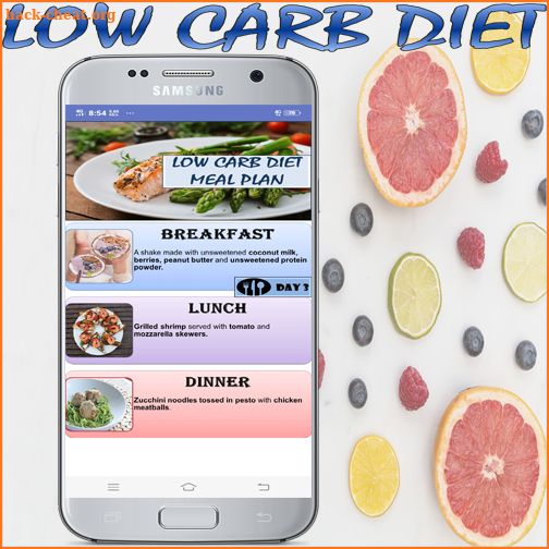 Low Carb Diet Plan Beginner screenshot