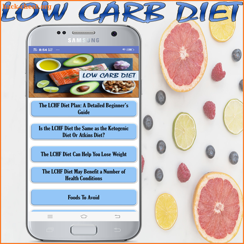 Low Carb Diet Plan Beginner screenshot