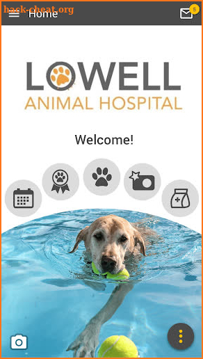 Lowell Animal Hospital screenshot