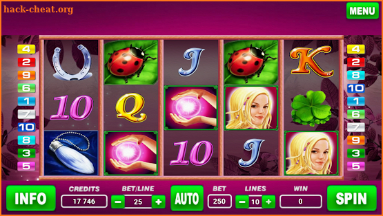Lucky Lady Hot Slot screenshot