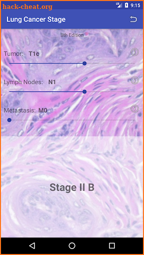 Lung Cancer Stage screenshot