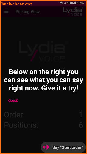 Lydia Voice Demo screenshot