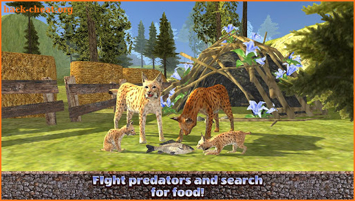 Lynx Family Wildlife Survival Simulator screenshot
