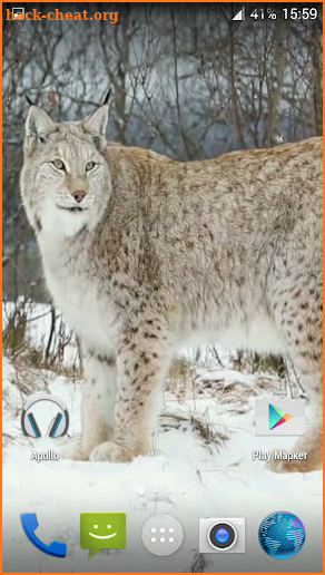 Lynx. Video Wallpaper screenshot
