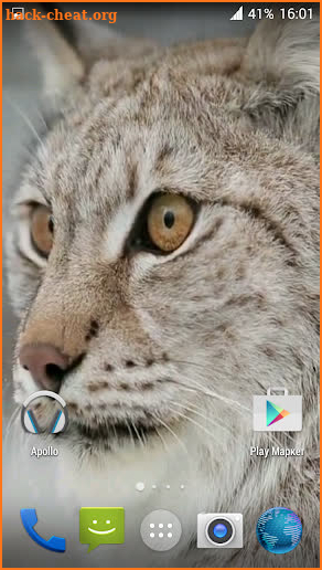 Lynx. Video Wallpaper screenshot