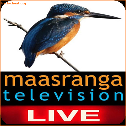 Maasranga Television screenshot