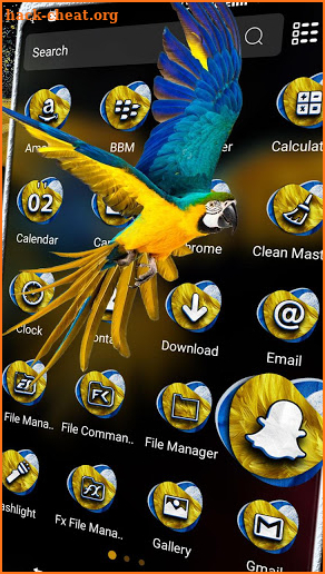 Macaw Parrot Launcher Theme screenshot