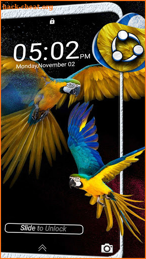 Macaw Parrot Launcher Theme screenshot