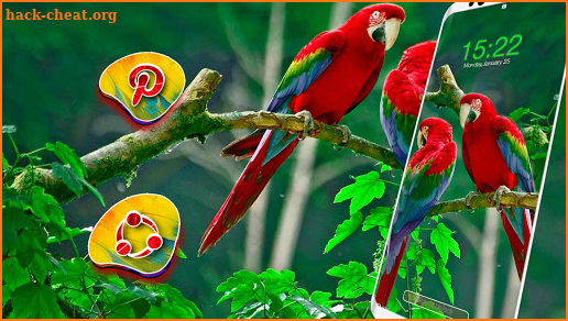 Macaw Parrot Theme screenshot
