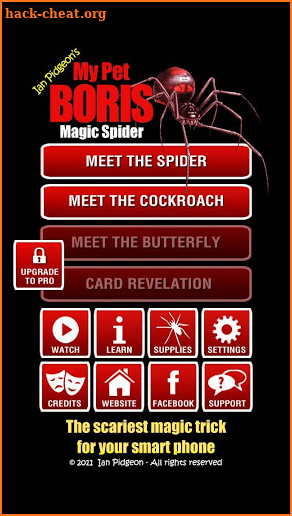 Magic Spider screenshot