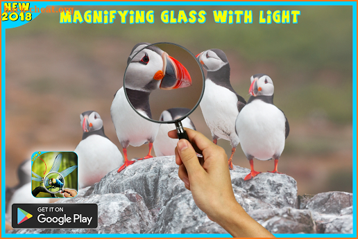 magnifying glass microscope + flashlight app screenshot