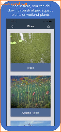 Maine Field Guide to Aquatic Phenomena screenshot
