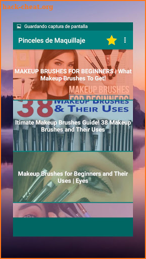 MAKEUP BRUSHES and their uses for beginners basics screenshot