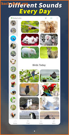 Man-machine Animal: 200 Birds and Animals screenshot