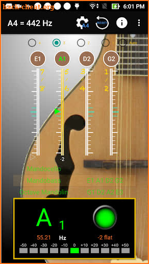 Mandolin Tuner - Tuner for Mandolin screenshot