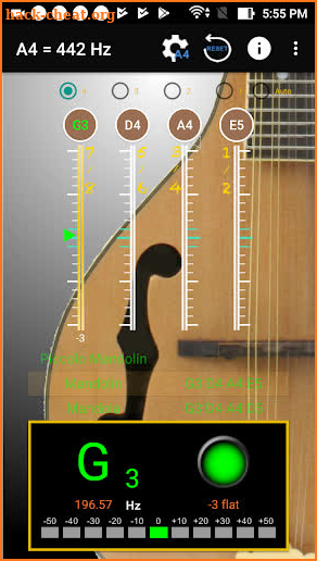 Mandolin Tuner - Tuner for Mandolin screenshot