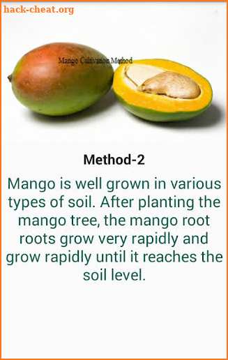 Mango Cultivation Method screenshot