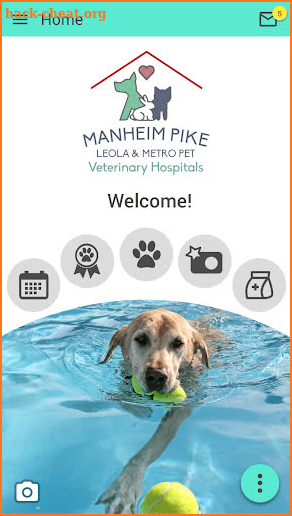Manheim Pike Veterinary Hosp screenshot