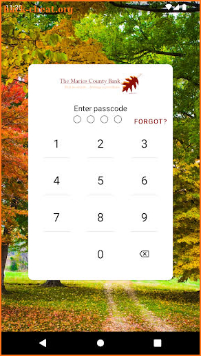 Maries County Bank screenshot