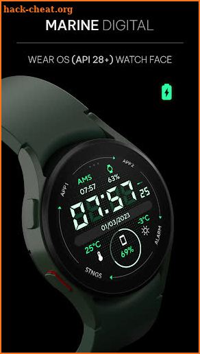Marine Digital: Wear OS screenshot