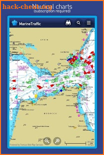 MarineTraffic ship positions screenshot