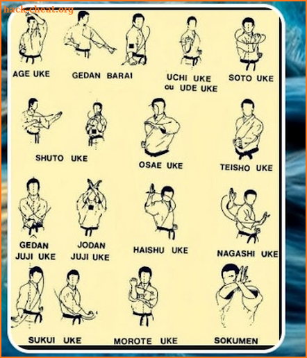 martial arts techniques screenshot