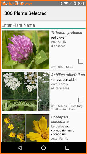 Maryland Wildflowers screenshot