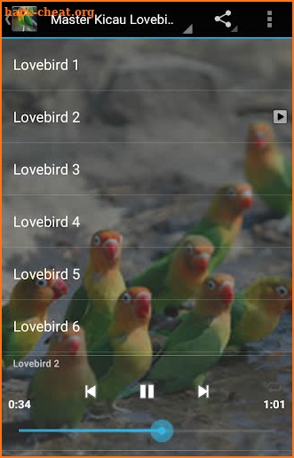 Master Kicau Lovebird screenshot