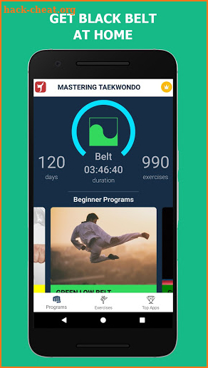 Mastering Taekwondo - Get Black Belt at Home screenshot