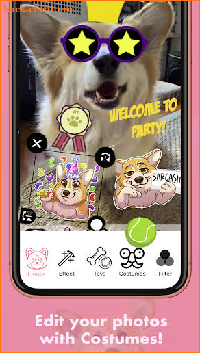MaxiMojis - Corgi Dog Stickers by fluffy Maxine screenshot