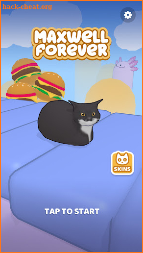 Maxwell Forever - Cat Game screenshot