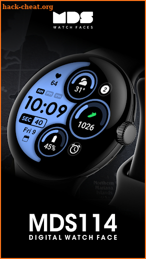 MDS114 Digital Watch Face screenshot