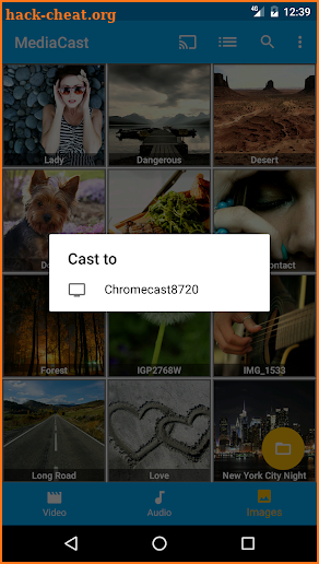 MediaCast - Chromecast Player screenshot
