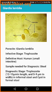 Medical Parasites screenshot