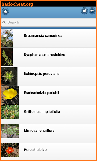 Medicinal herbs screenshot